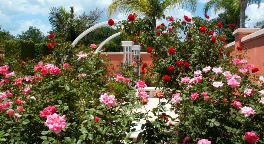 Florida Botanical Gardens, United States